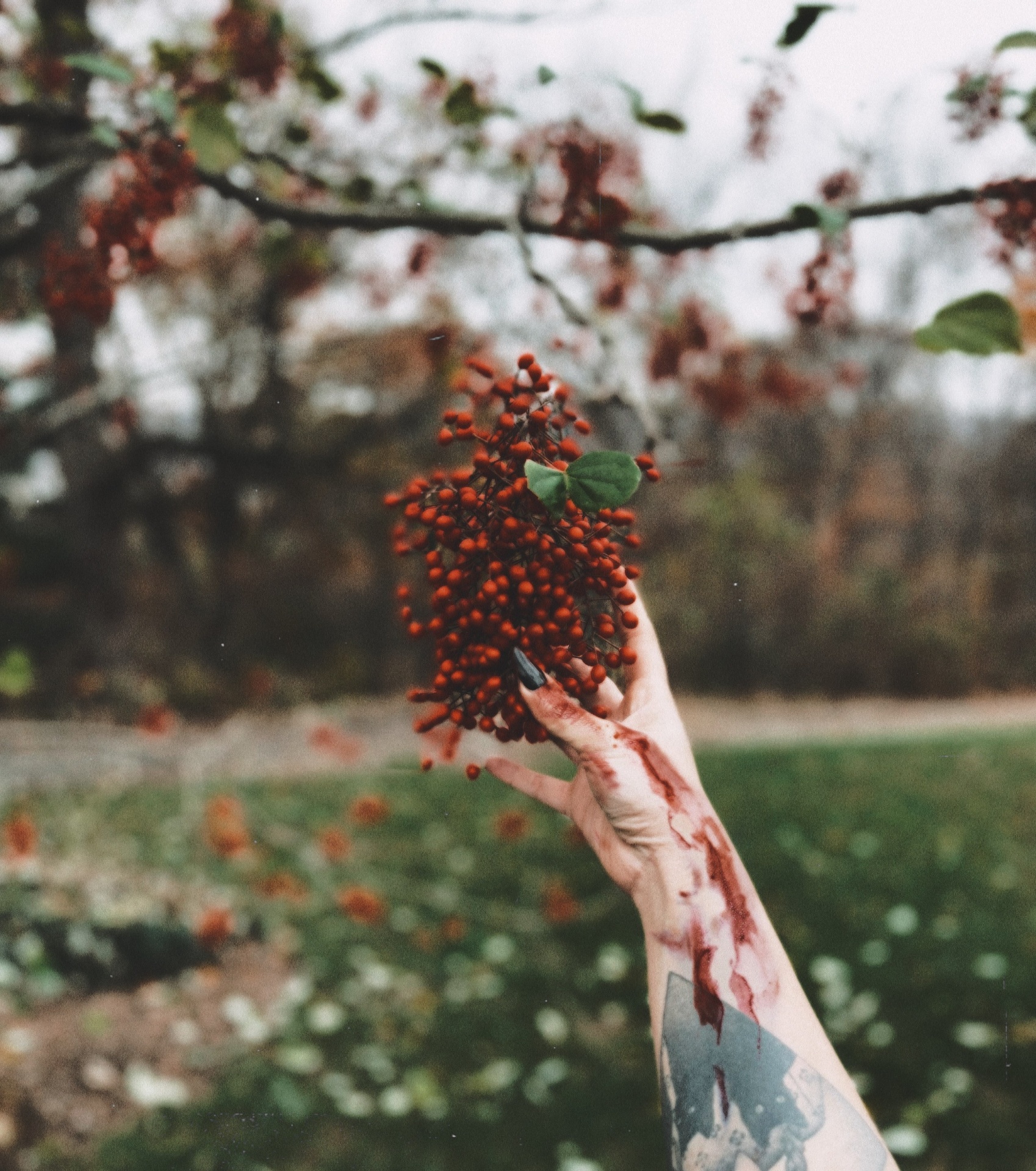 A bloodied hand holding up a cluster of vivid red berries beneath blossoming branches