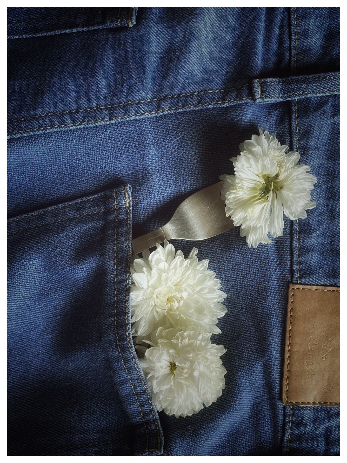 White chrysanthemums tucked into the pocket of worn blue denim jeans