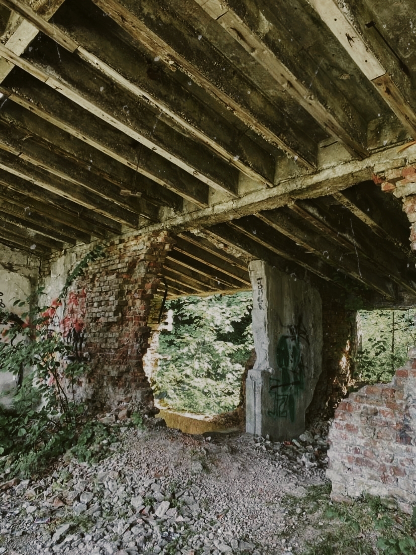 Sunlit greenery framed by the collapsing brick walls and timber beams of an abandoned ruin