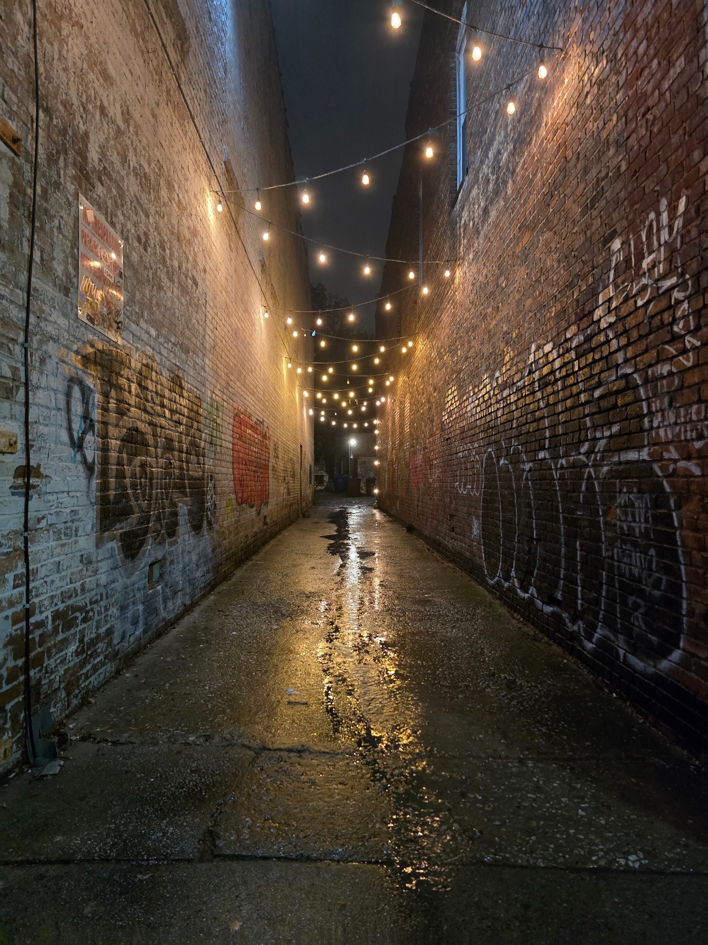 A wet alleyway at night strung with glowing bulbs above graffitied brick walls
