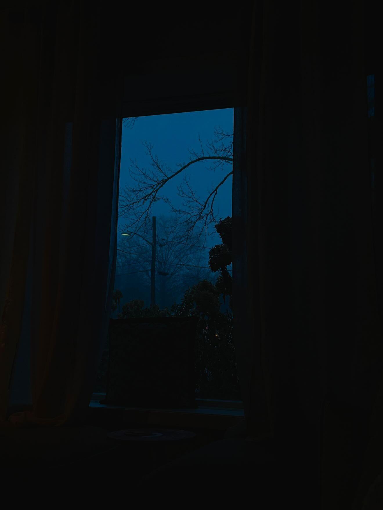 A foggy blue dusk seen through a dark window framed by silhouetted curtains and bare branches