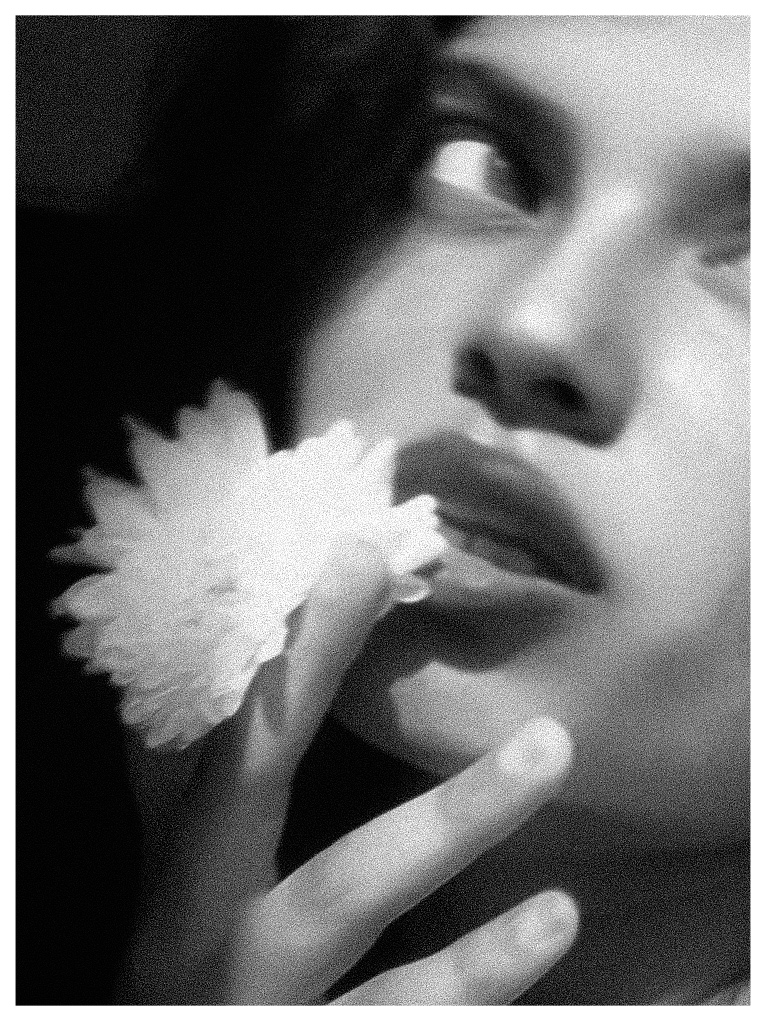 Black and white close-up of a person holding a white carnation flower near their lips