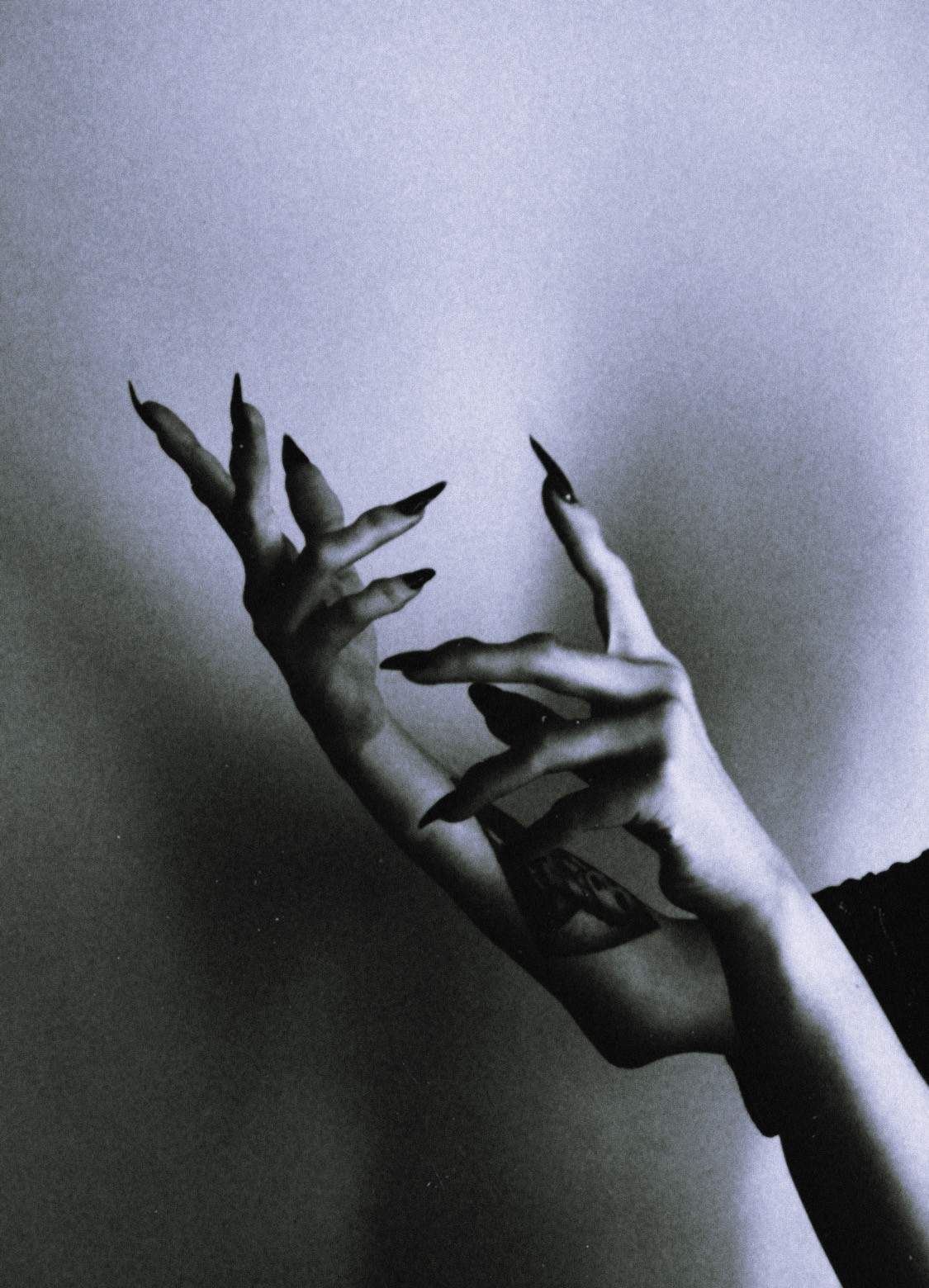 Two pale hands with long pointed black nails reaching upward in soft black and white light